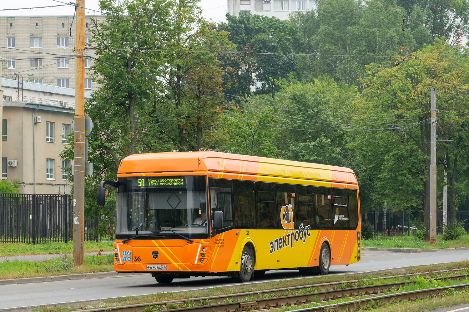 Ярославская область, ЛиАЗ-6274 № 36