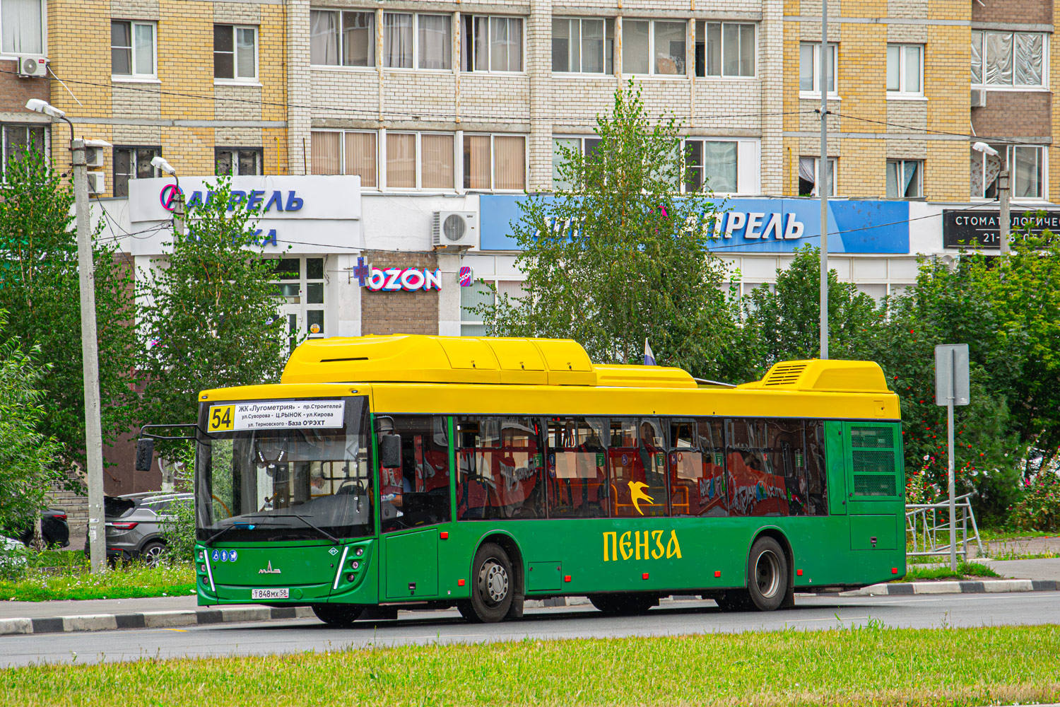Пензенская область, МАЗ-203.948 № Т 848 МХ 58