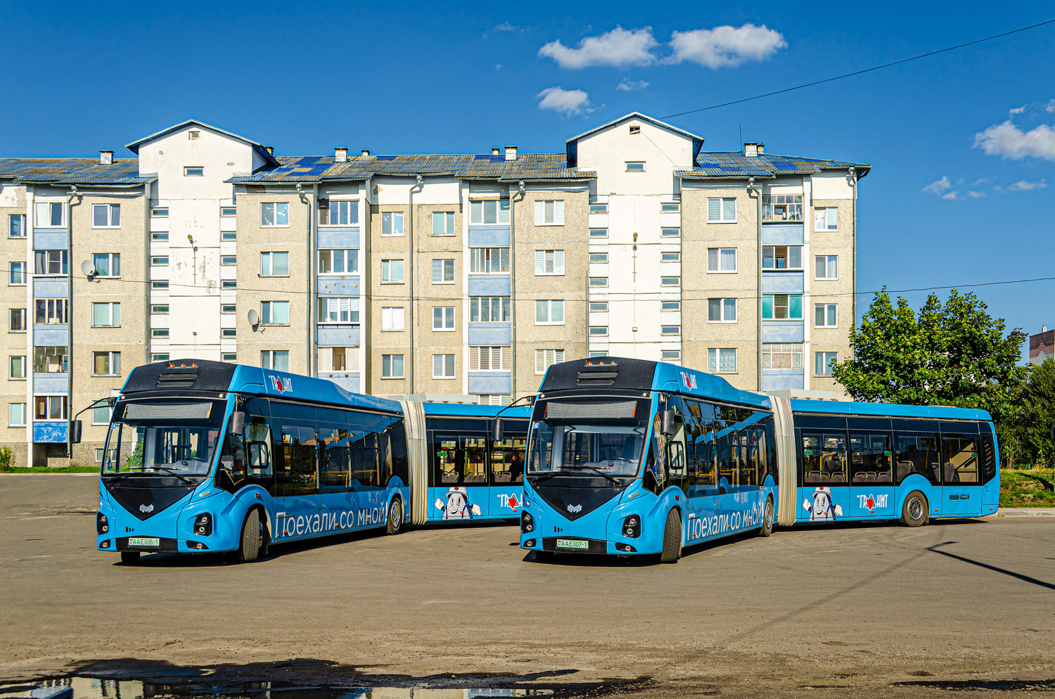 Брестская область, E433 Vitovt Max Electro II № АА Е007-1; Брестская область — Автовокзалы, автостанции, конечные остановки