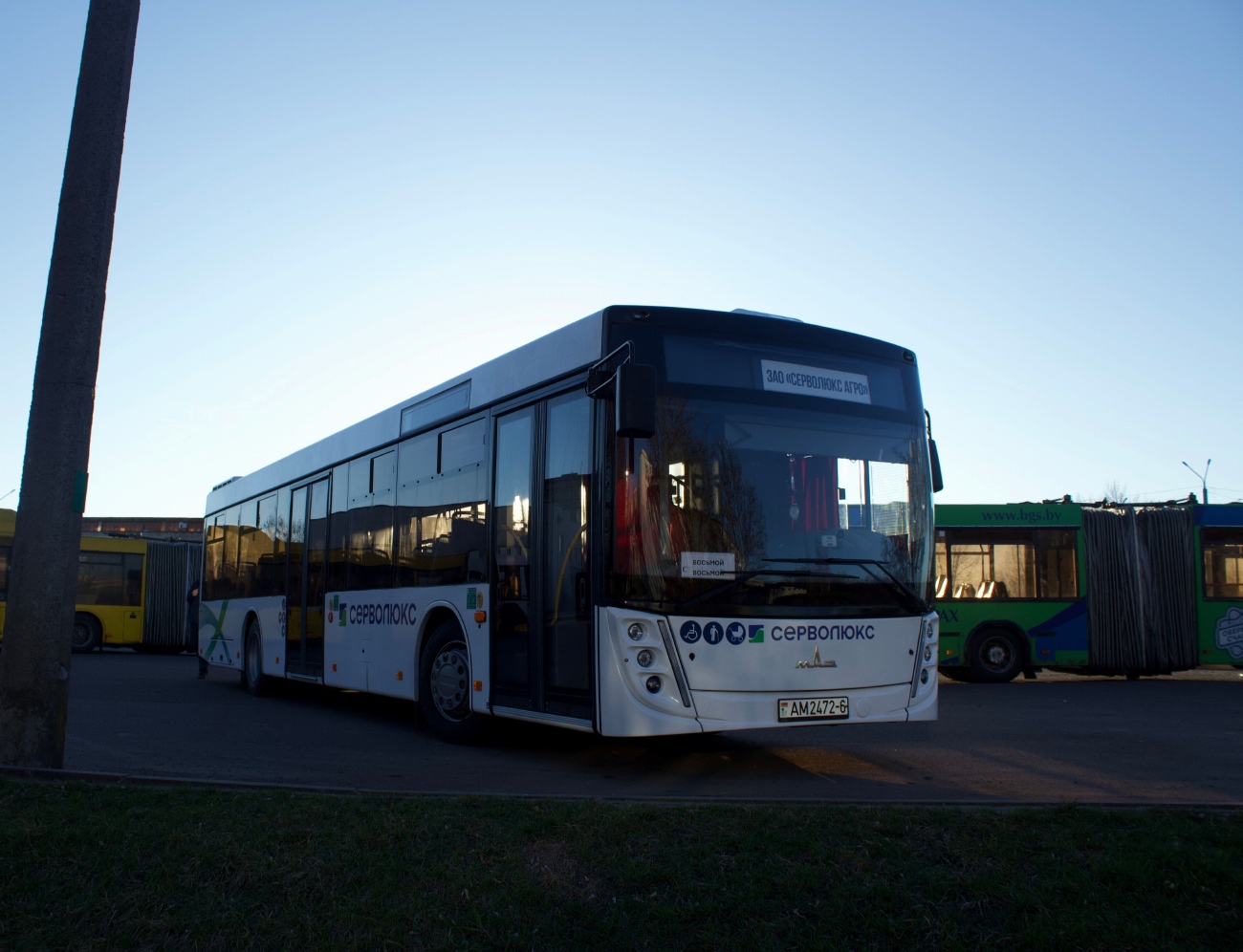 Могилёвская область, МАЗ-203.147 № АМ 2472-6