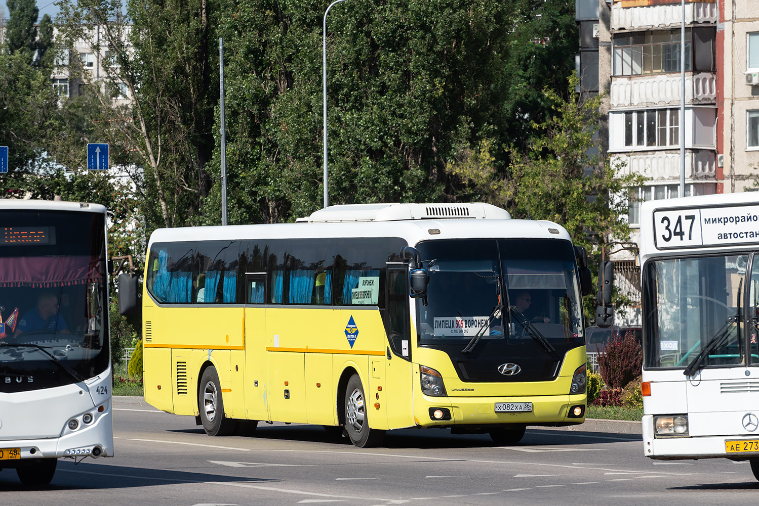 Воронежская область, Hyundai Universe Space Luxury № Х 082 ХА 36