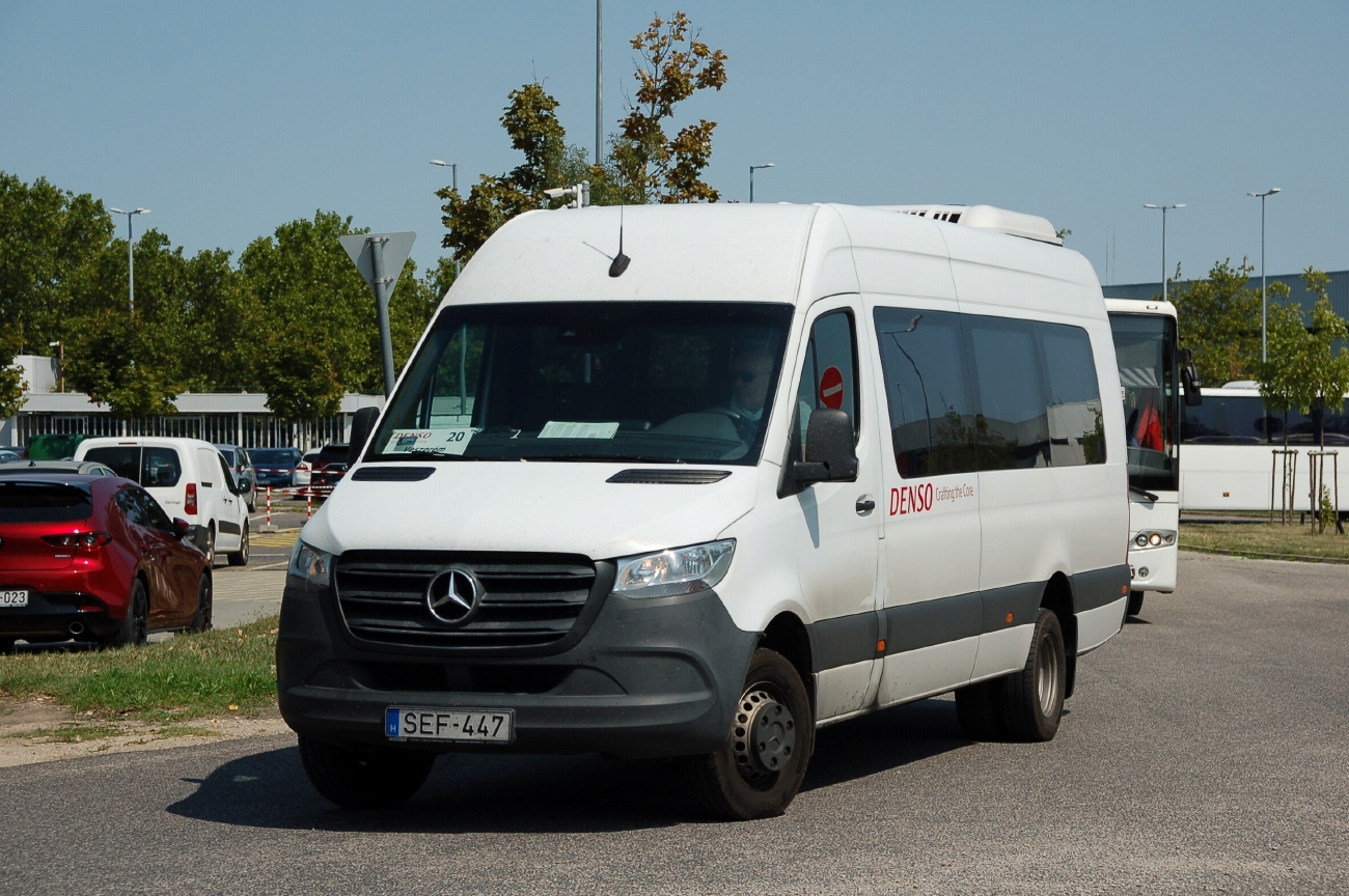 Венгрия, Luxury Minibus Classic № SEF-447