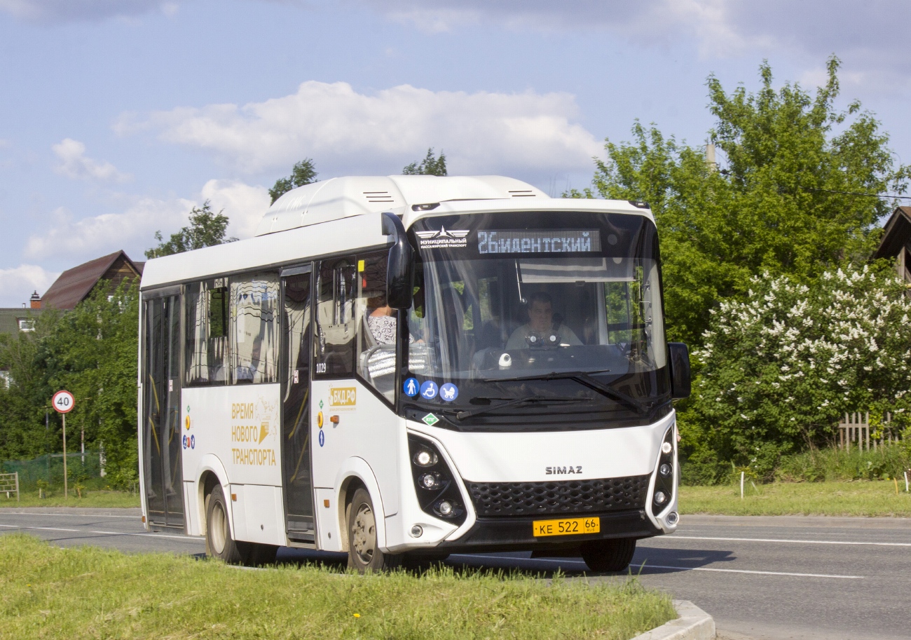 Свердловская область, СИМАЗ-2258 № 1029