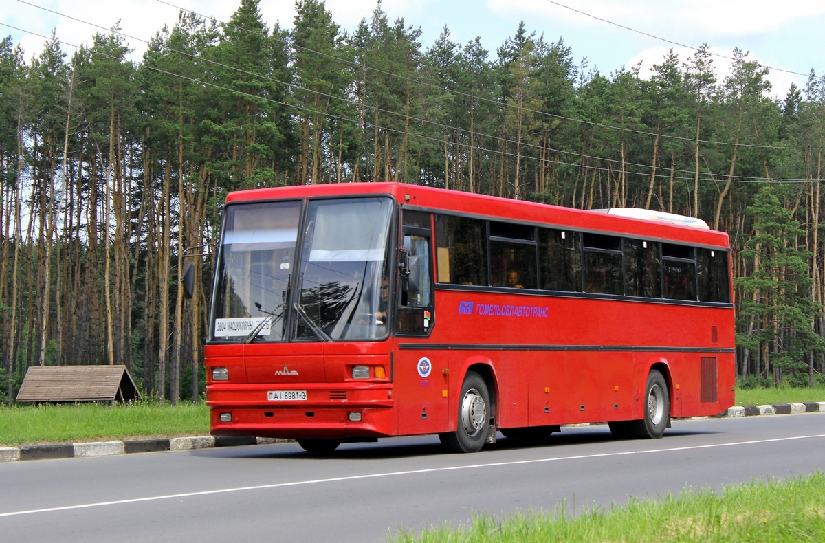 Gomel region, MAZ-152.062 № 015661