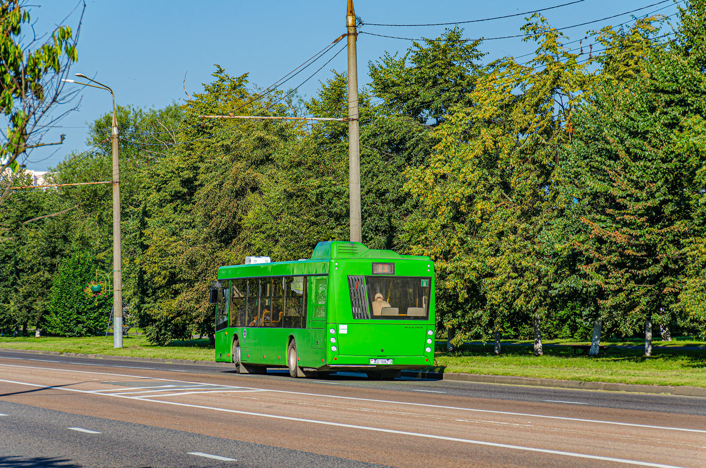 Гомельская область, МАЗ-203.047 № 016331