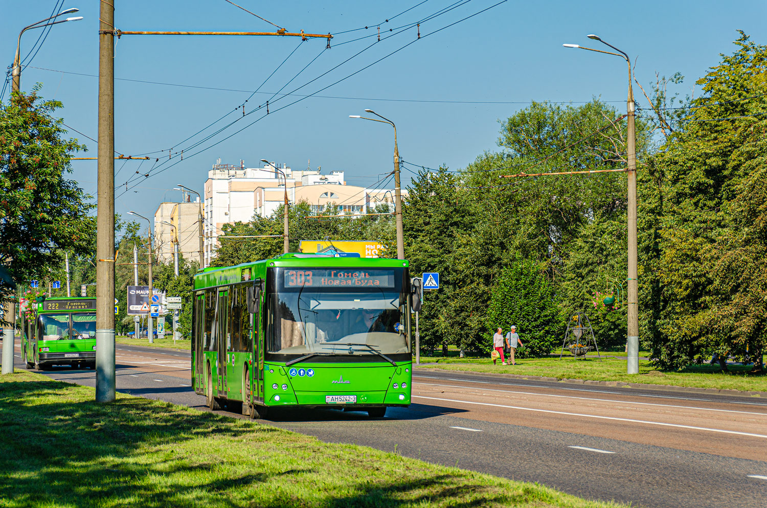 Гомельская область, МАЗ-203.045 № 037206