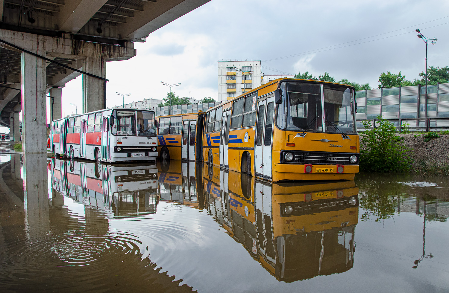 Москва, Ikarus 280.33 № Н 631 ОВ 797 Москва, Ikarus 280.33 № Н 631 ОВ 797