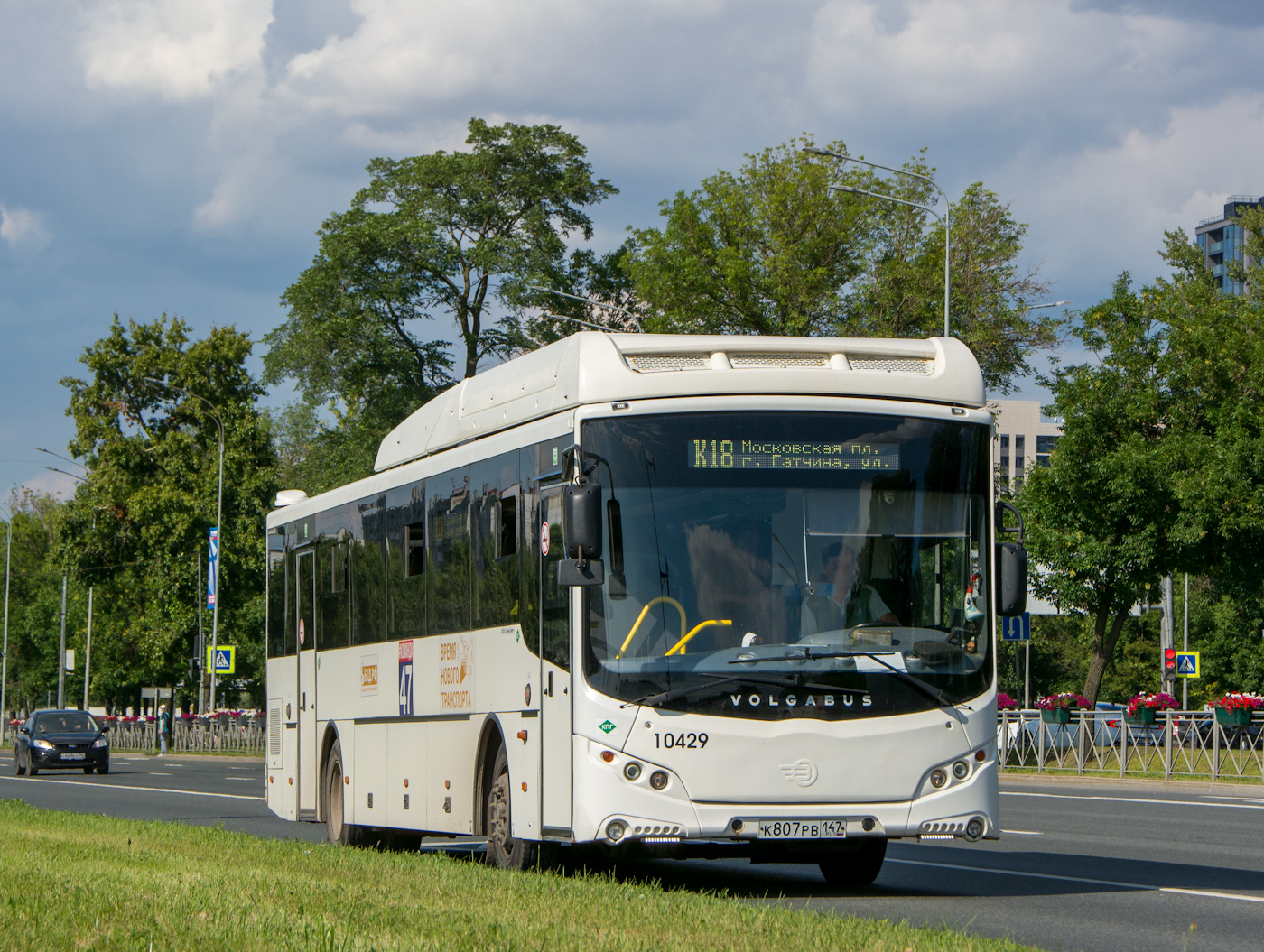Ленинградская область, Volgabus-5285.G4 № 10429
