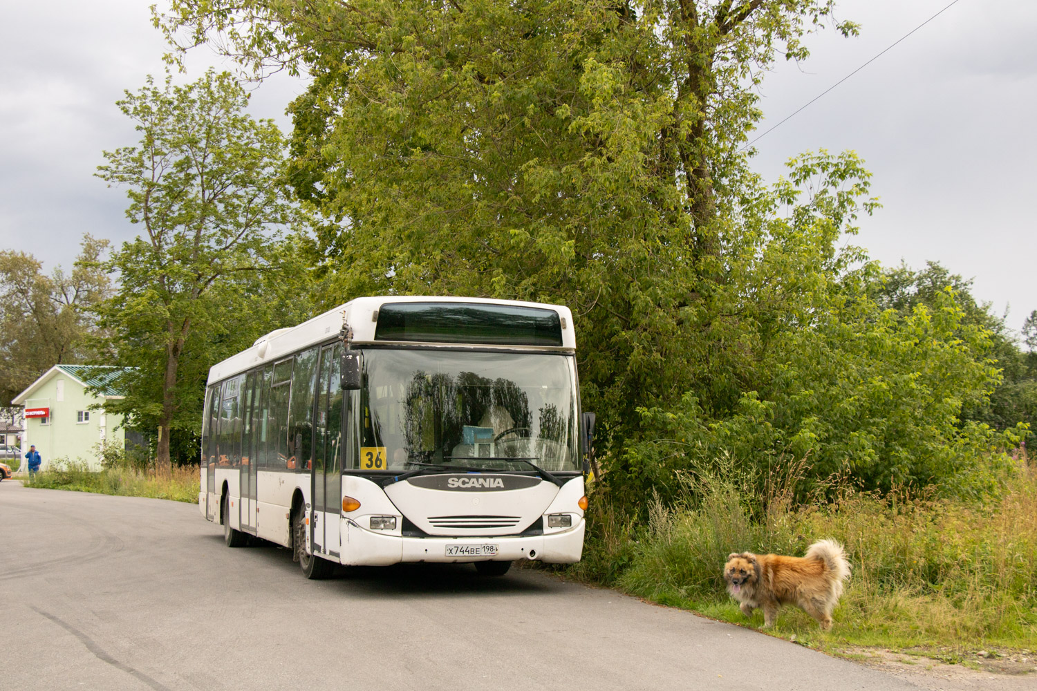 Ленинградская область, Scania OmniLink I (Скания-Питер) № Х 744 ВЕ 198