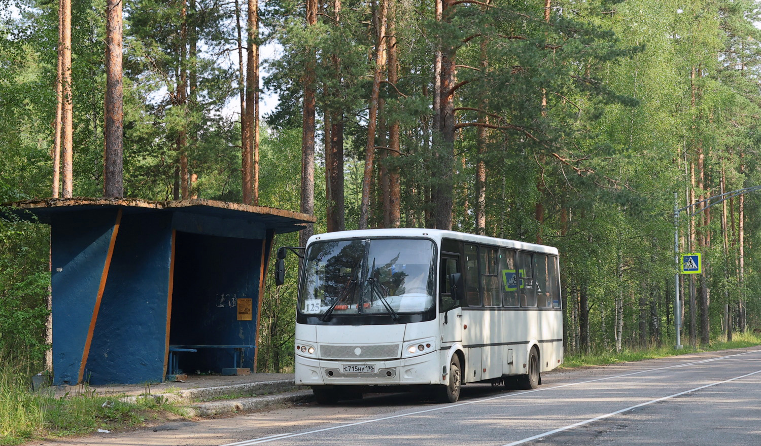 Санкт-Петербург, ПАЗ-320412-05 "Вектор" № С 715 НУ 198
