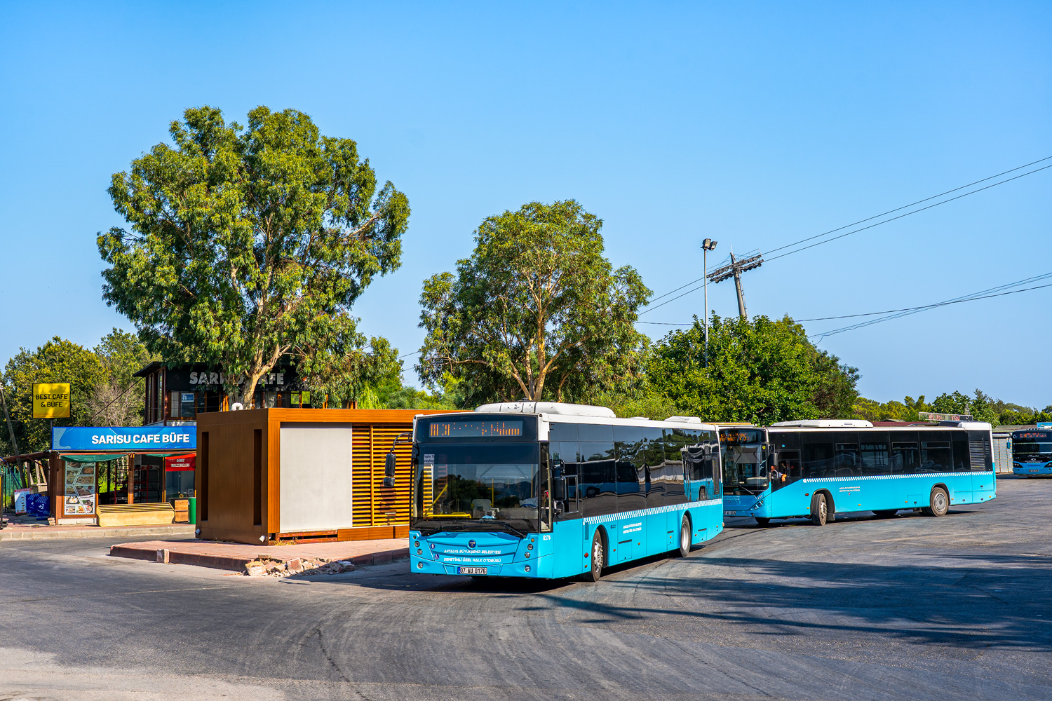 Турция, TEMSA Avenue 12LF № 176