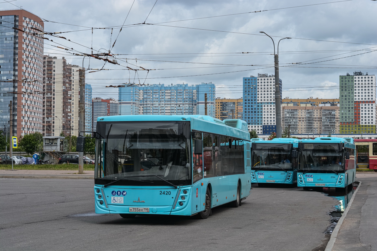 Санкт-Петербург, МАЗ-203.047 № 2420
