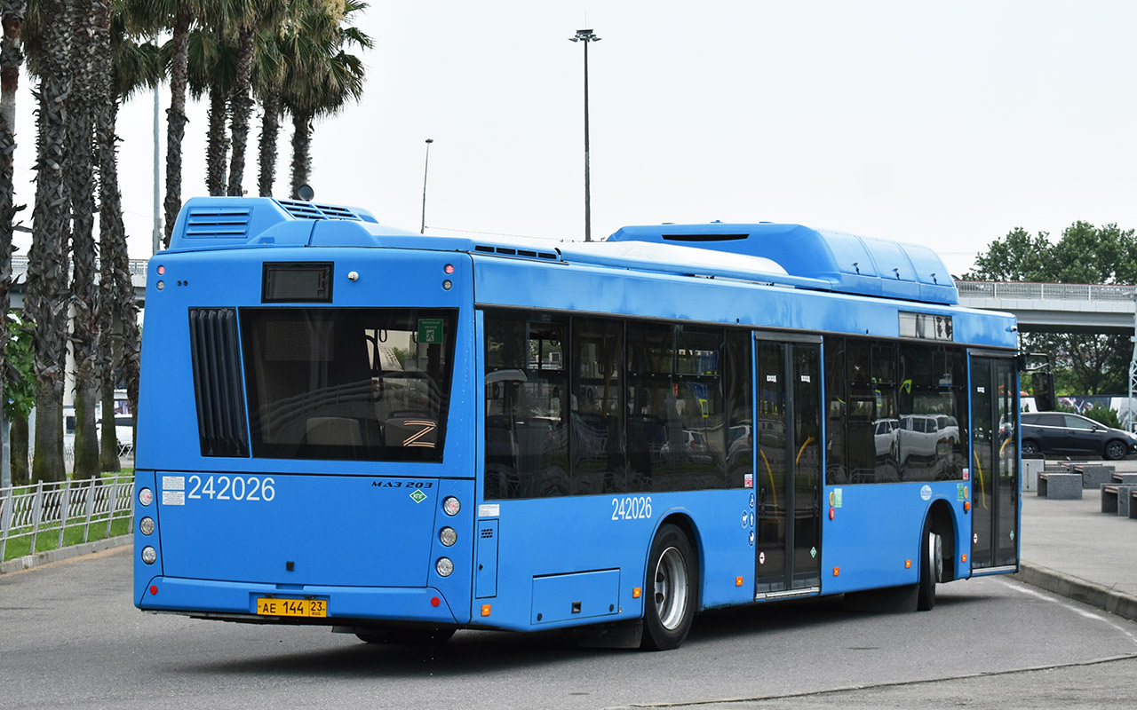 Краснодарский край, МАЗ-203.С65 № 242026