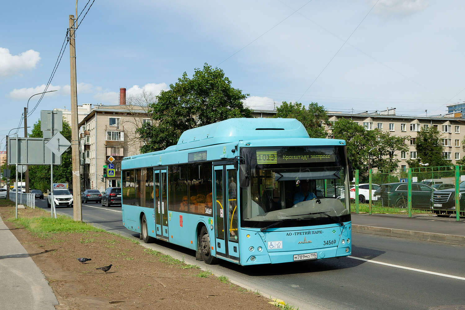 Санкт-Петербург, МАЗ-203.C46 № 34569