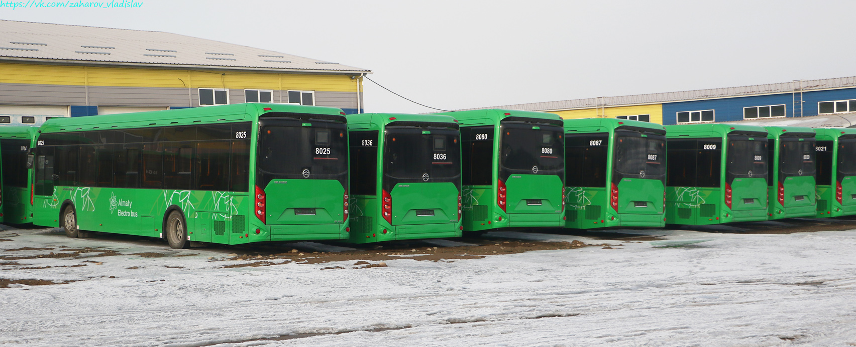 Алматы, Golden Dragon XML6125CE (Hyundai Trans Auto) № 8025