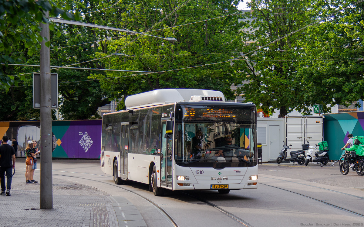 Нидерланды, MAN A21 Lion's City NL243 CNG № 1210