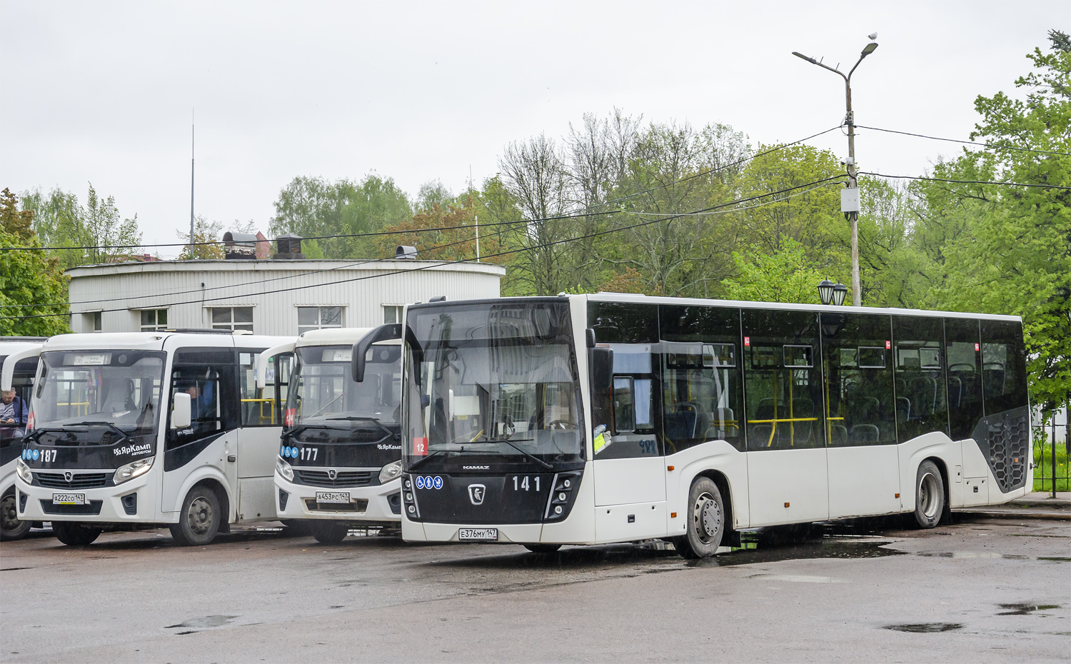 Leningrad region, NefAZ-5299-30-52 # 141