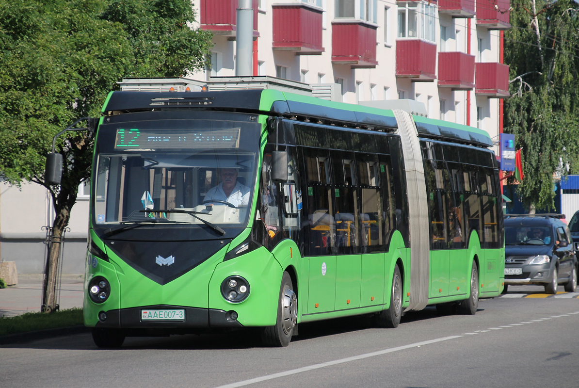 Гомельская область, E433 Vitovt Max Electro II № 26239