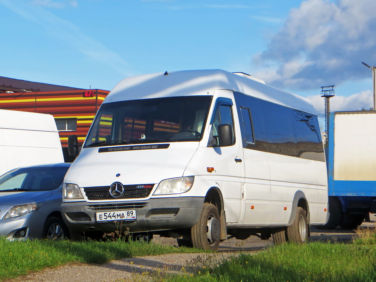 Ямало-Ненецкий АО, Луидор-223206 (MB Sprinter Classic) № Е 544 МА 89