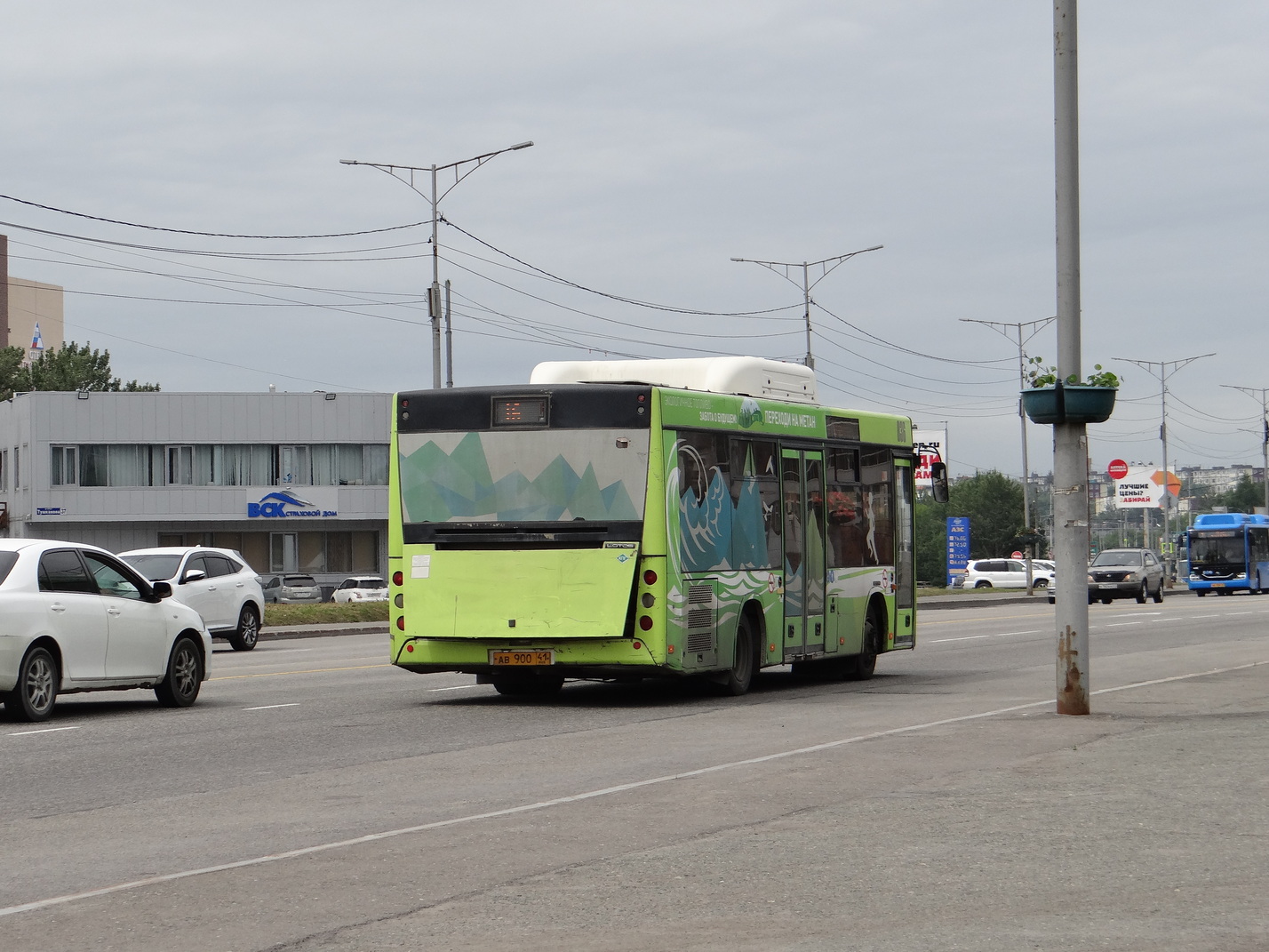 Камчатский край, Lotos-206 № 036