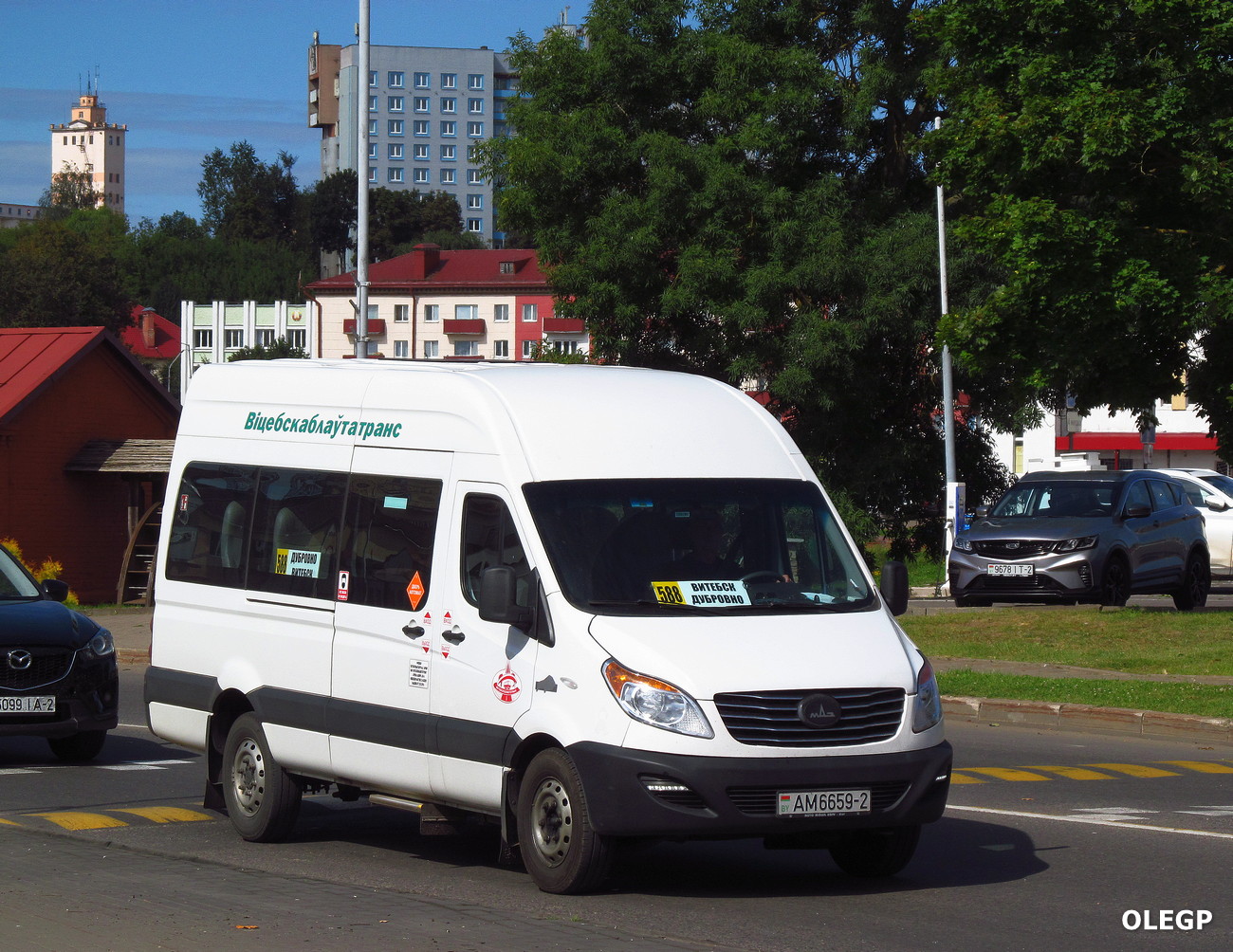 Витебская область, МАЗ-281.040 № АМ 6659-2