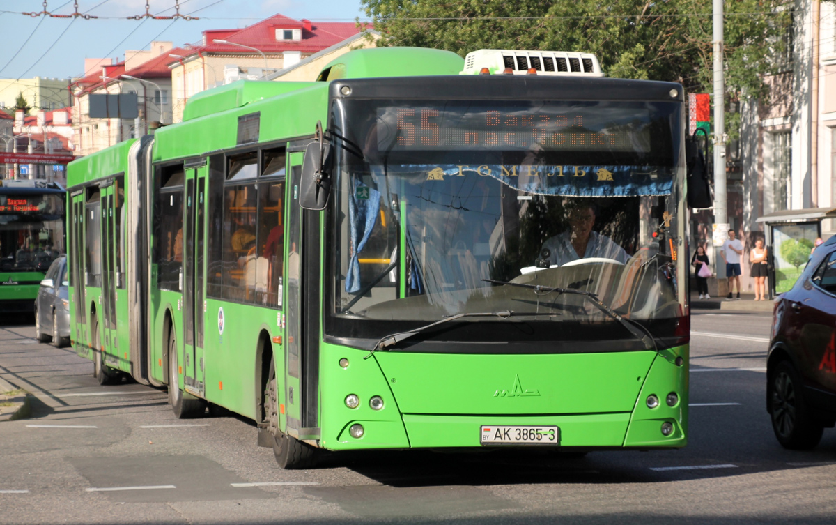 Гомельская область, МАЗ-215.169 № 036919