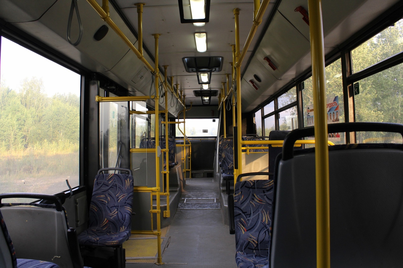 Пермский край, МАЗ-103.485 № 198