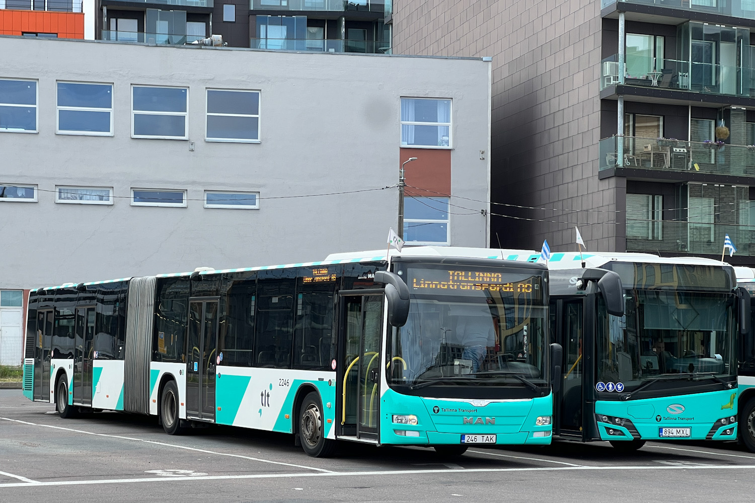 Эстония, MAN A40 Lion's City GL NG323 № 2246