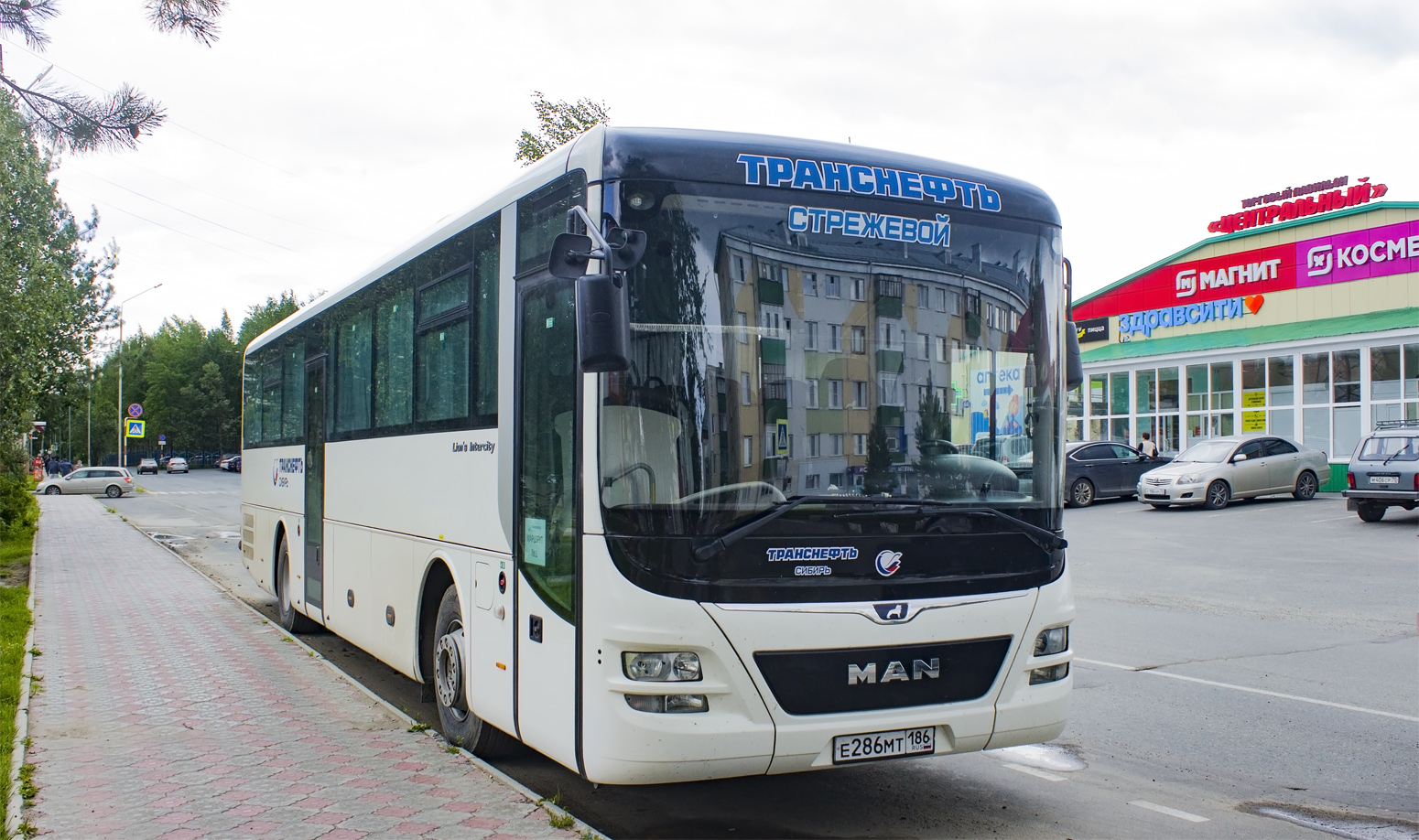 Томская область, MAN R60 Lion's Intercity ÜL290 № Е 286 МТ 186