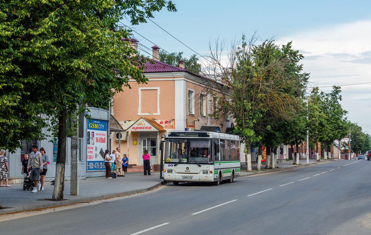 Владимирская область, ПАЗ-3237-01 № Н 539 УВ 33