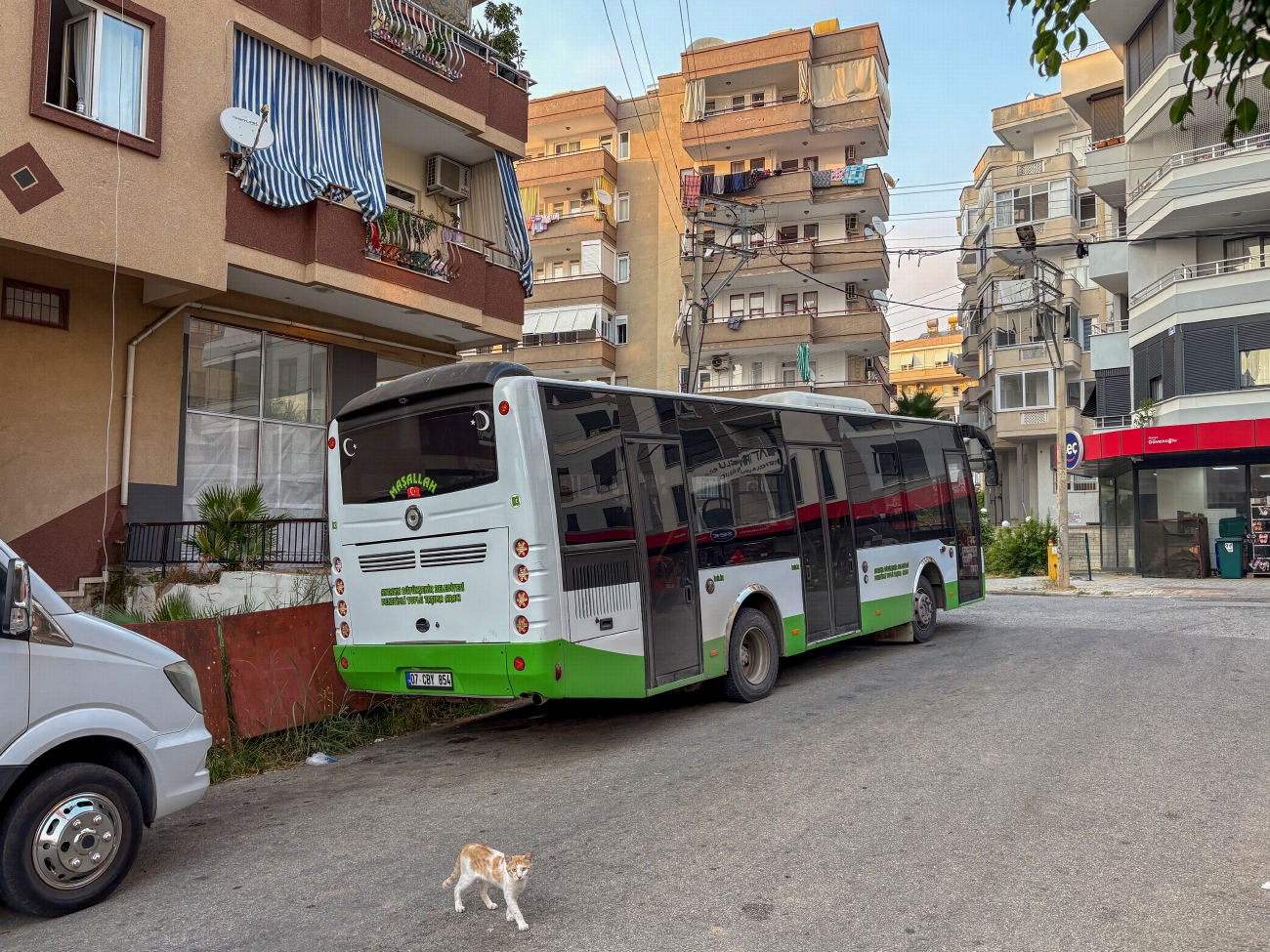Турция, Güleryüz Cobra GM220LE № 83