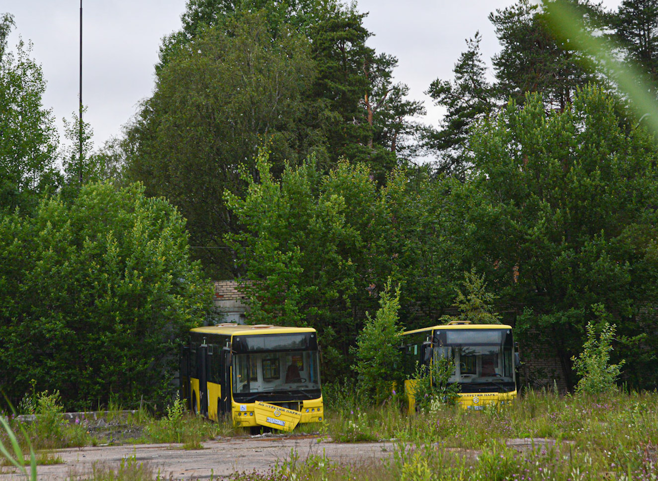 Санкт-Петербург — Автобусные парки и стоянки