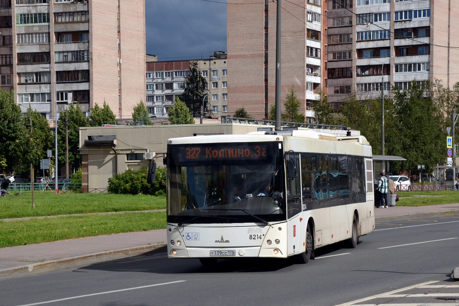 Санкт-Петербург, МАЗ-203.085 № 8214