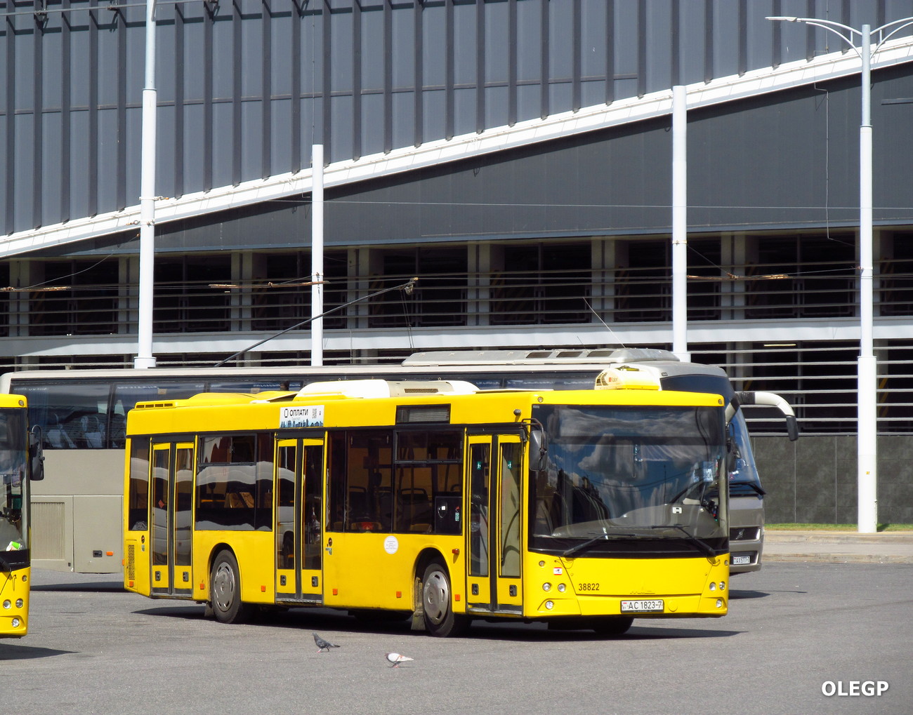 Минск, МАЗ-203.069 № 038822