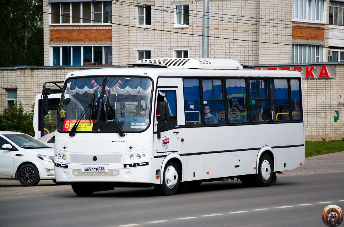 Нижегородская область, ПАЗ-320412-04 № А 691 ТР 252