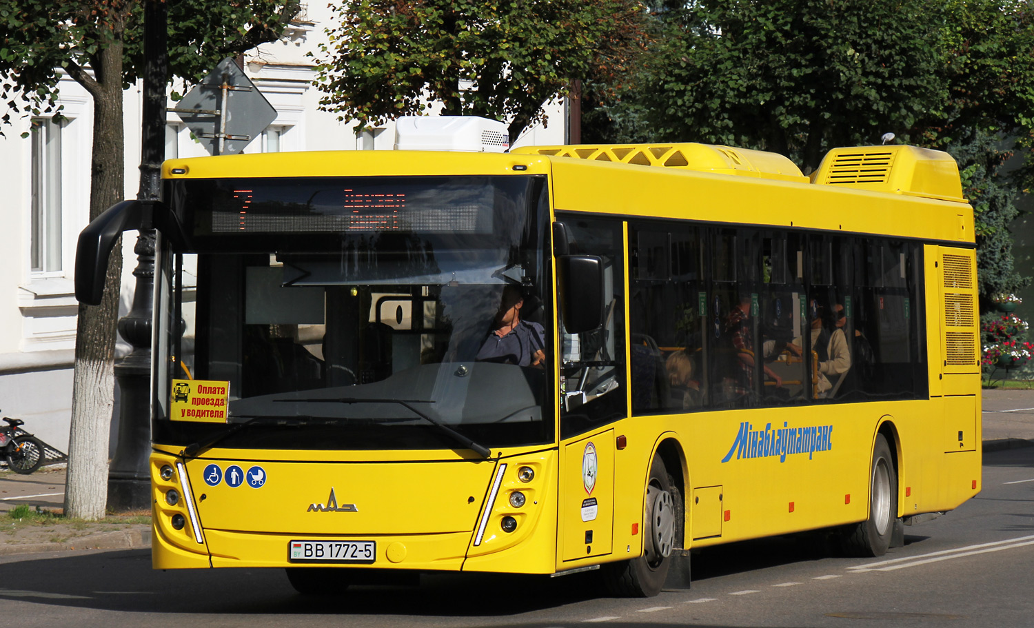 Минская область, МАЗ-203.047 № ВВ 1772-5