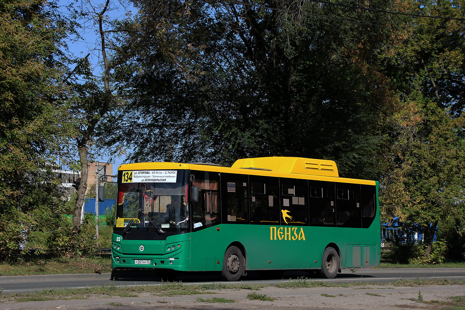 Пензенская область, КАвЗ-4270-70 № Р 261 НК 58