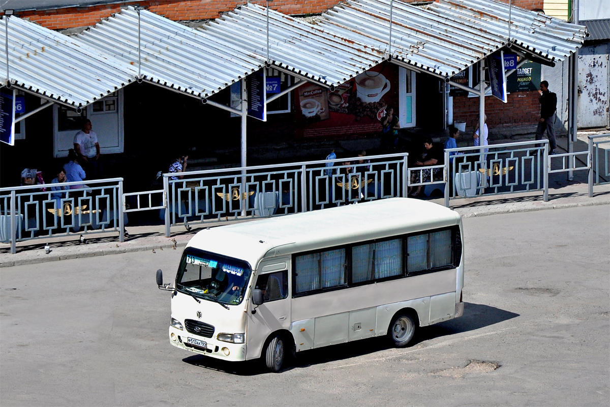 Алтайский край, Hyundai County SWB (РЗГА) № Р 513 АК 761