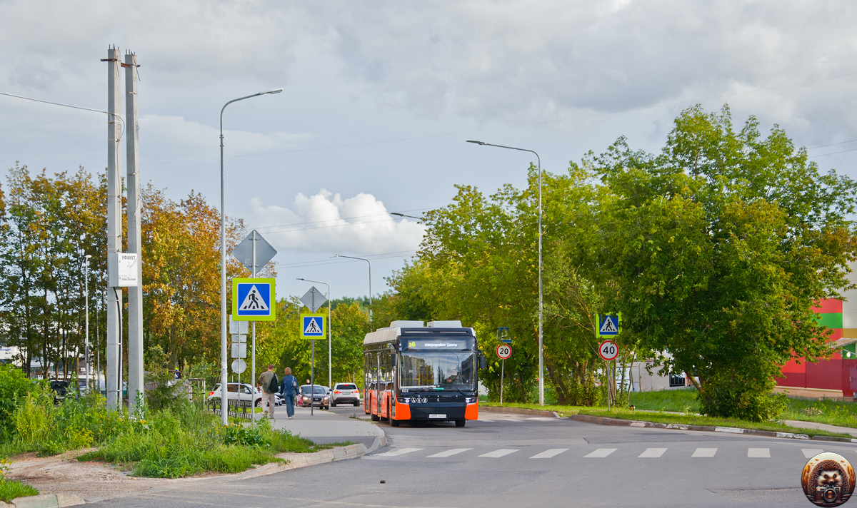 Nyizsnyij Novgorod-i terület, Nizhecotrans-6256 (BKM-E450) sz.: 1033; Nyizsnyij Novgorod-i terület &mdash; Miscellaneous photos