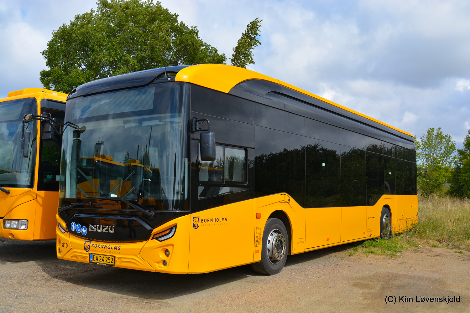 Дания, Anadolu Isuzu Citivolt 12 № 810