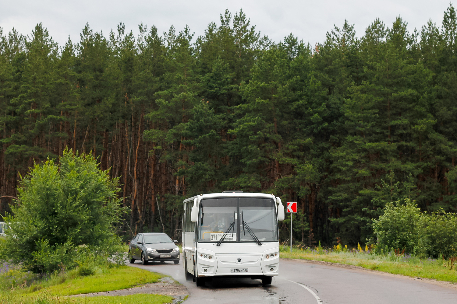 Воронежская область, КАвЗ-4238-81 № Н 570 ЕР 136
