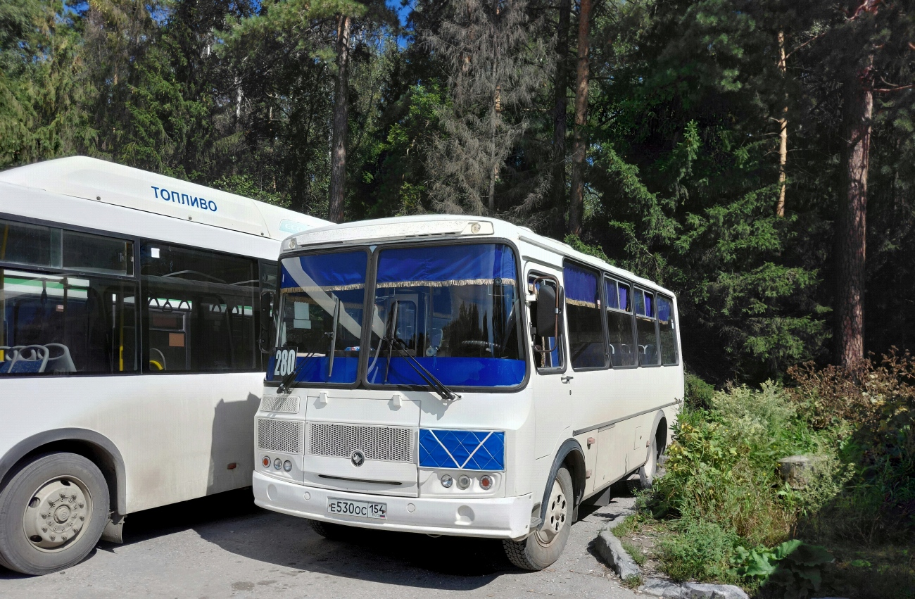 Новосибирская область, ПАЗ-32054 № Е 530 ОС 154