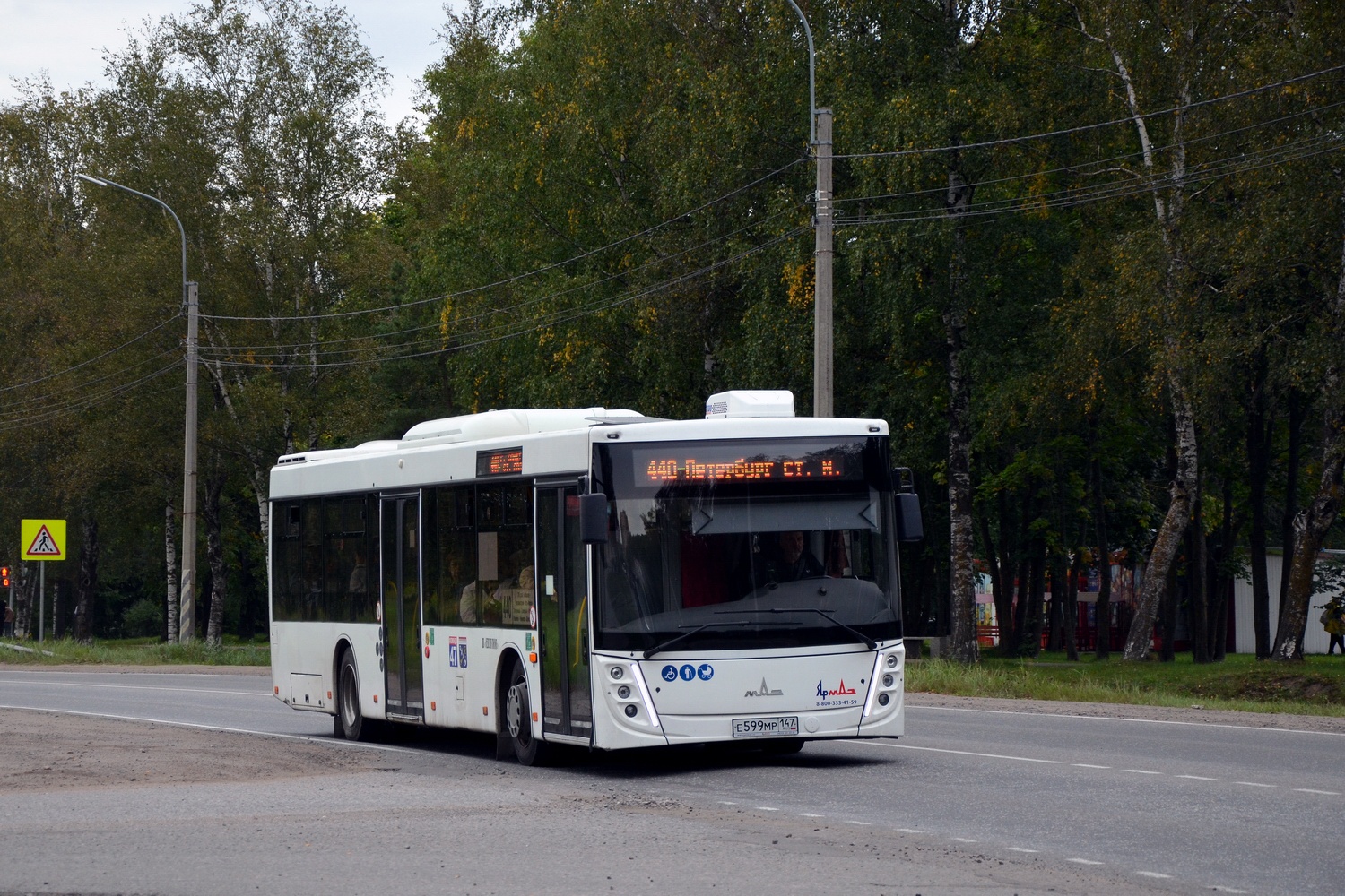 Ленинградская область, МАЗ-203.147 № Е 599 МР 147