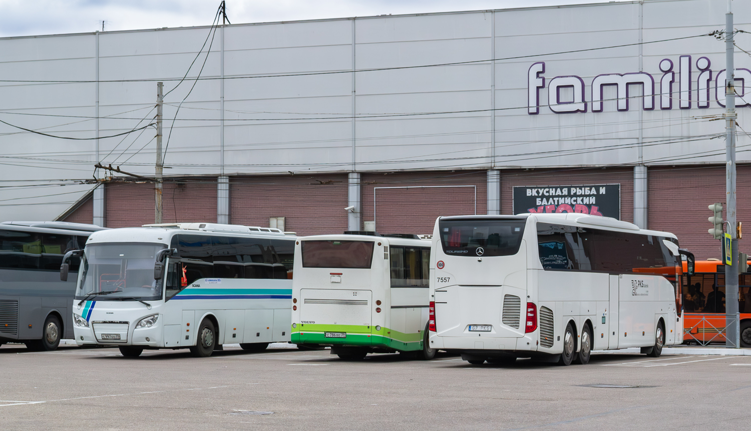 Польша, Mercedes-Benz Tourismo III L 17RHD № 7557