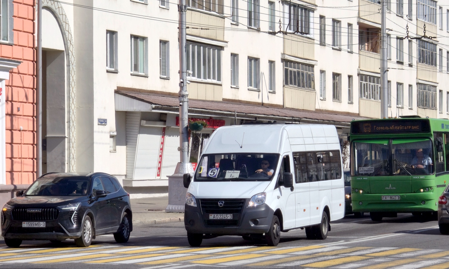 Гомельская область, ГАЗ-A62/A65/A66/A69 Next № AO 2245-3