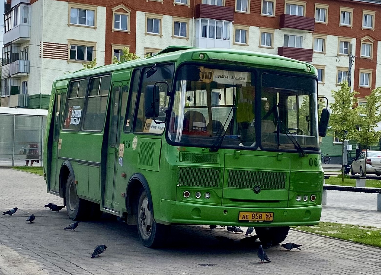 Псковская область, ПАЗ-320540-22 № 065
