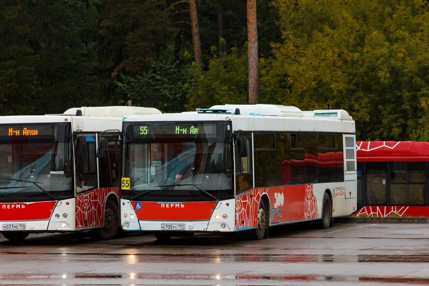 Пермский край, МАЗ-203.016 № Е 705 УС 797