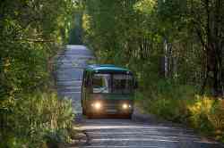 Perm region, PAZ-4234-04 # О 596 НН 159