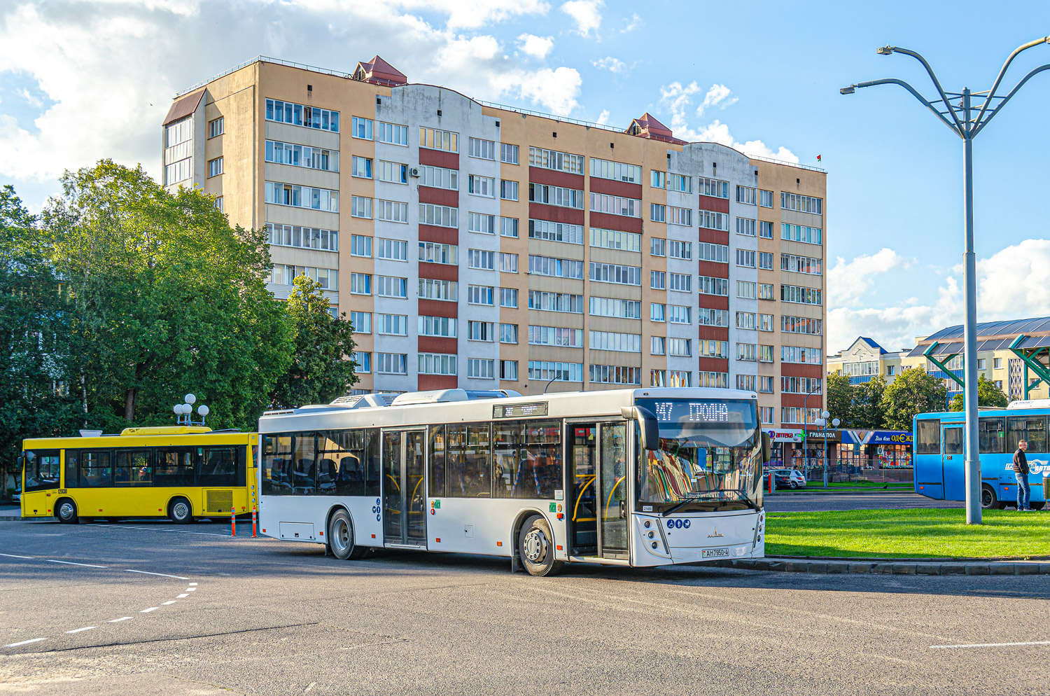 Гродненская область, МАЗ-203.147 № 021466