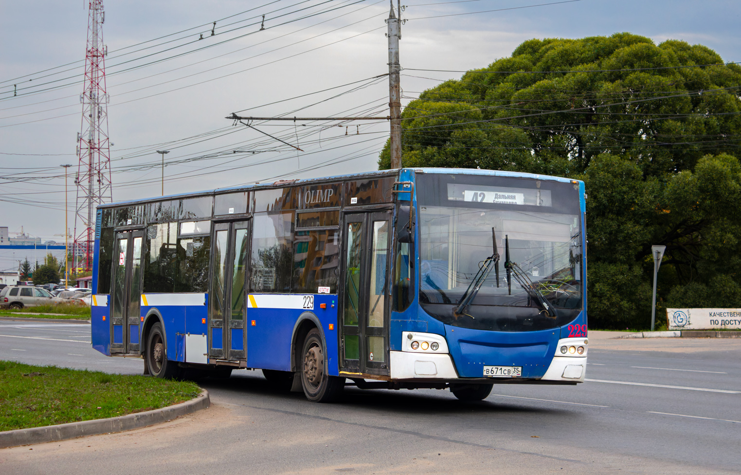 Вологодская область, ВМЗ-4252 "Олимп" № 229